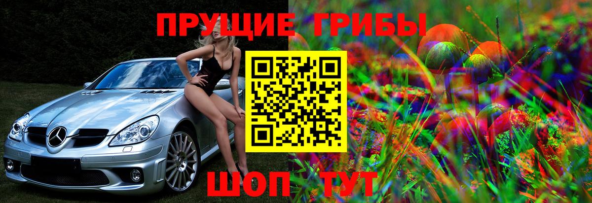Галлюциногенные грибы Magic Shrooms Светлоград