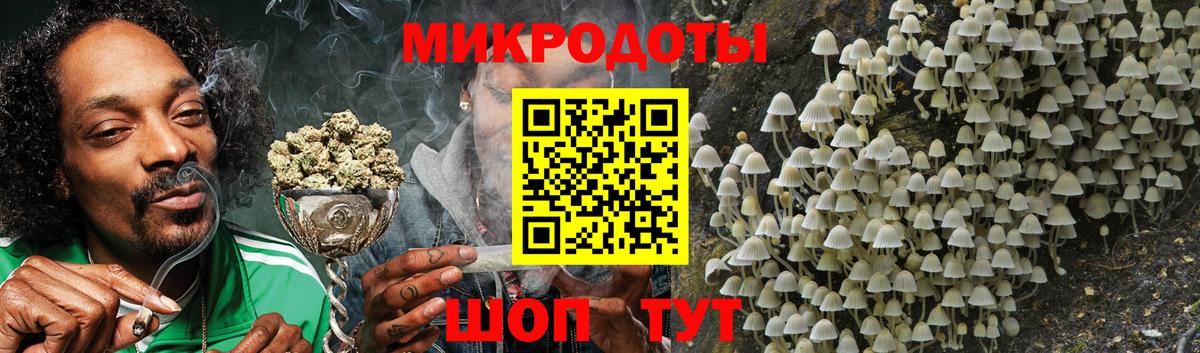 Светлоград  Галлюциногенные грибы Cubensis  Вход с VPN 